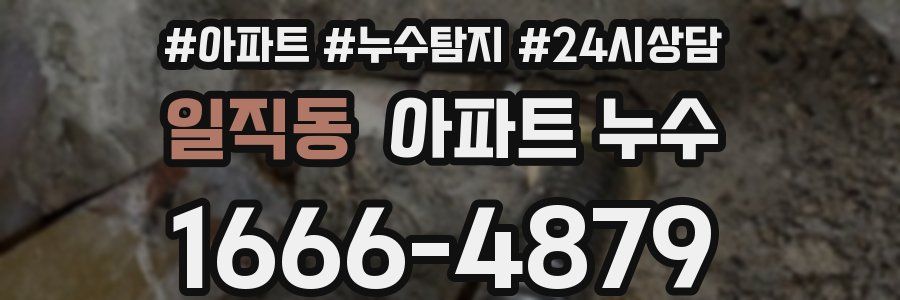 일직동 누수탐지