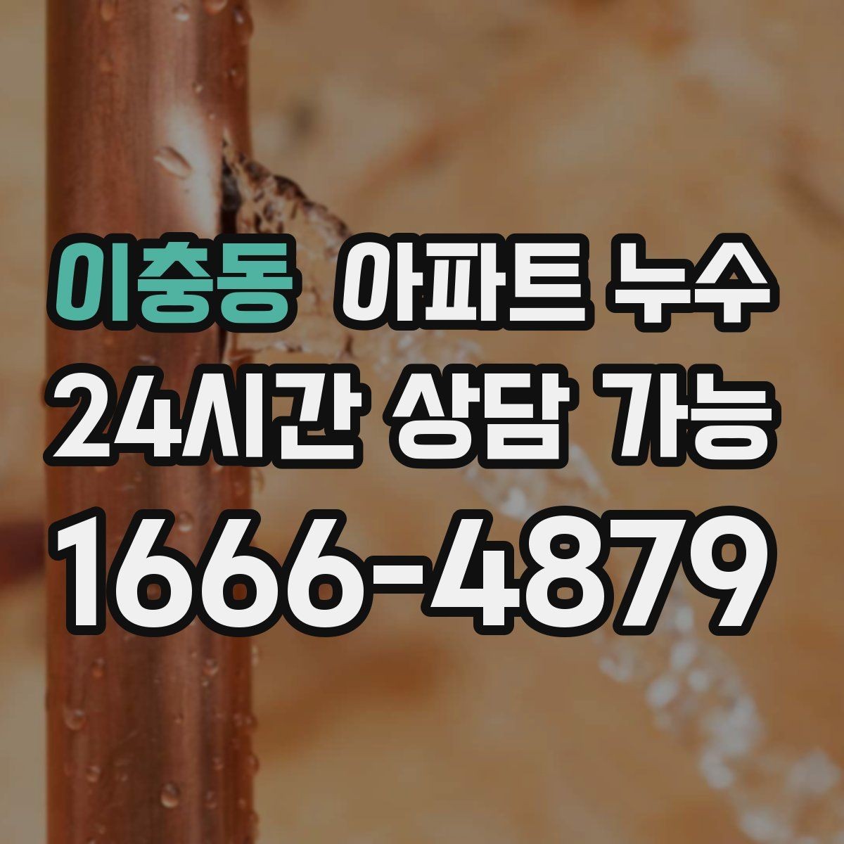 이충동 아파트 누수 물자국이 벽 모서리에 생길 때