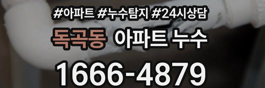 독곡동 누수탐지