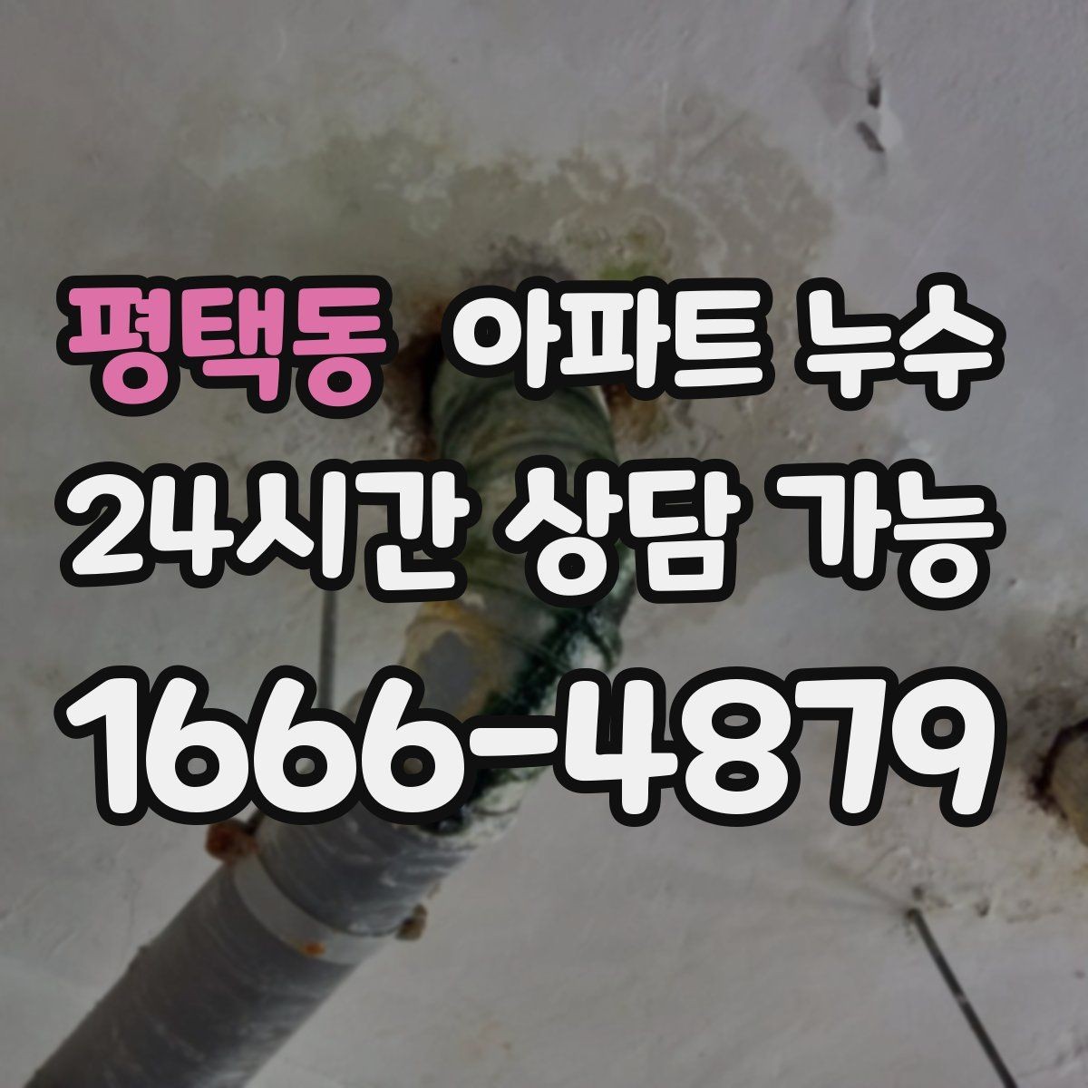 평택동 아파트 누수 바닥이 축축하고 차가울 때