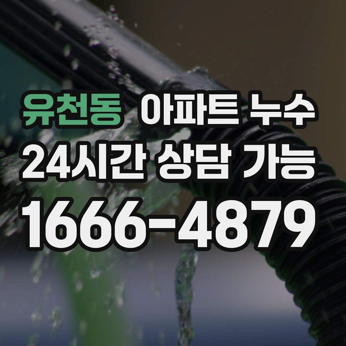 유천동 아파트 누수 물자국만 가리면 재발하는 이유