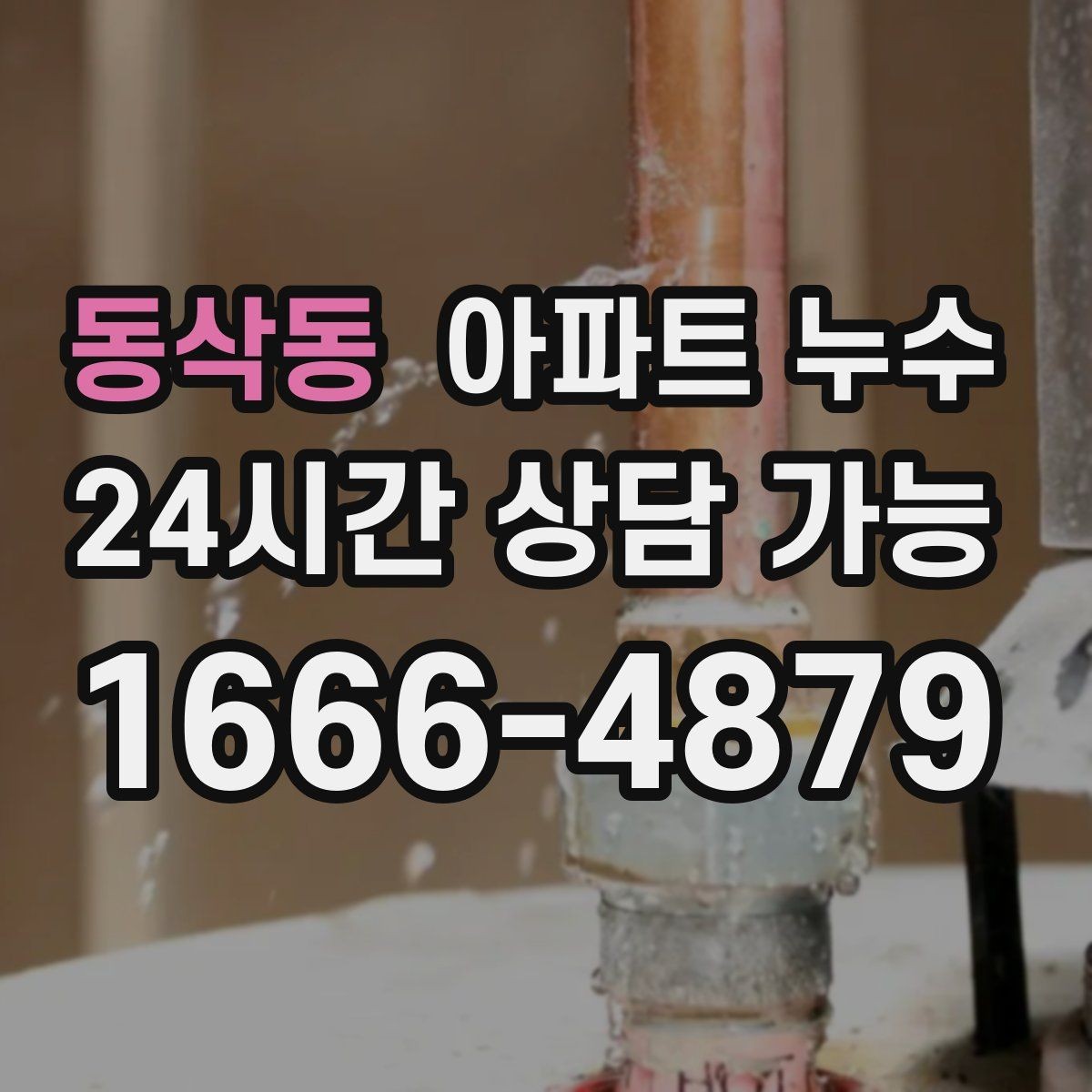 동삭동 아파트 누수 가구 밑 바닥이 눅눅할 때