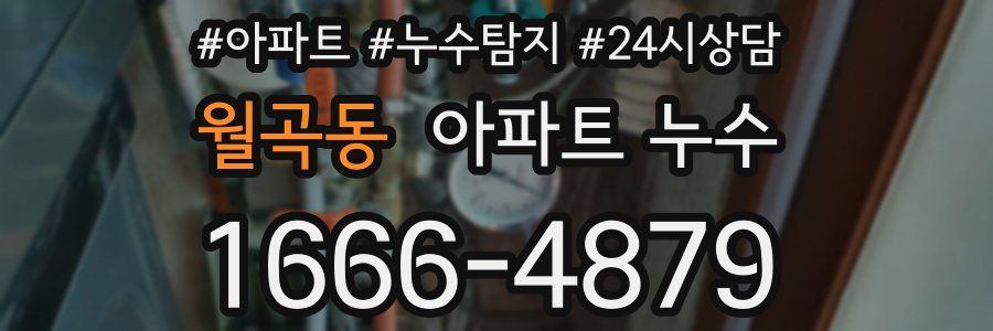 월곡동 누수탐지