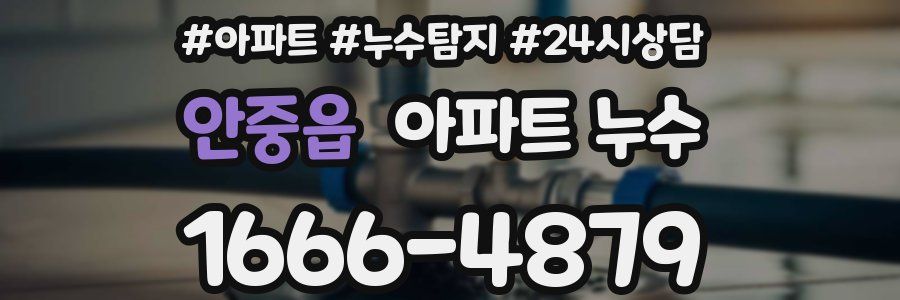 안중읍 누수탐지