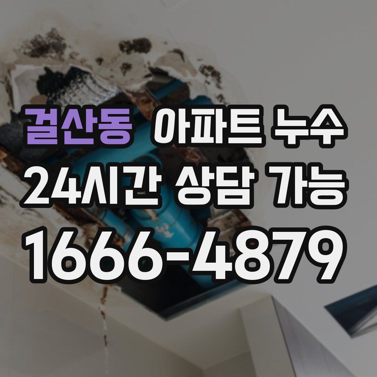 걸산동 아파트 누수 피해 범위 커지기 전 점검부터