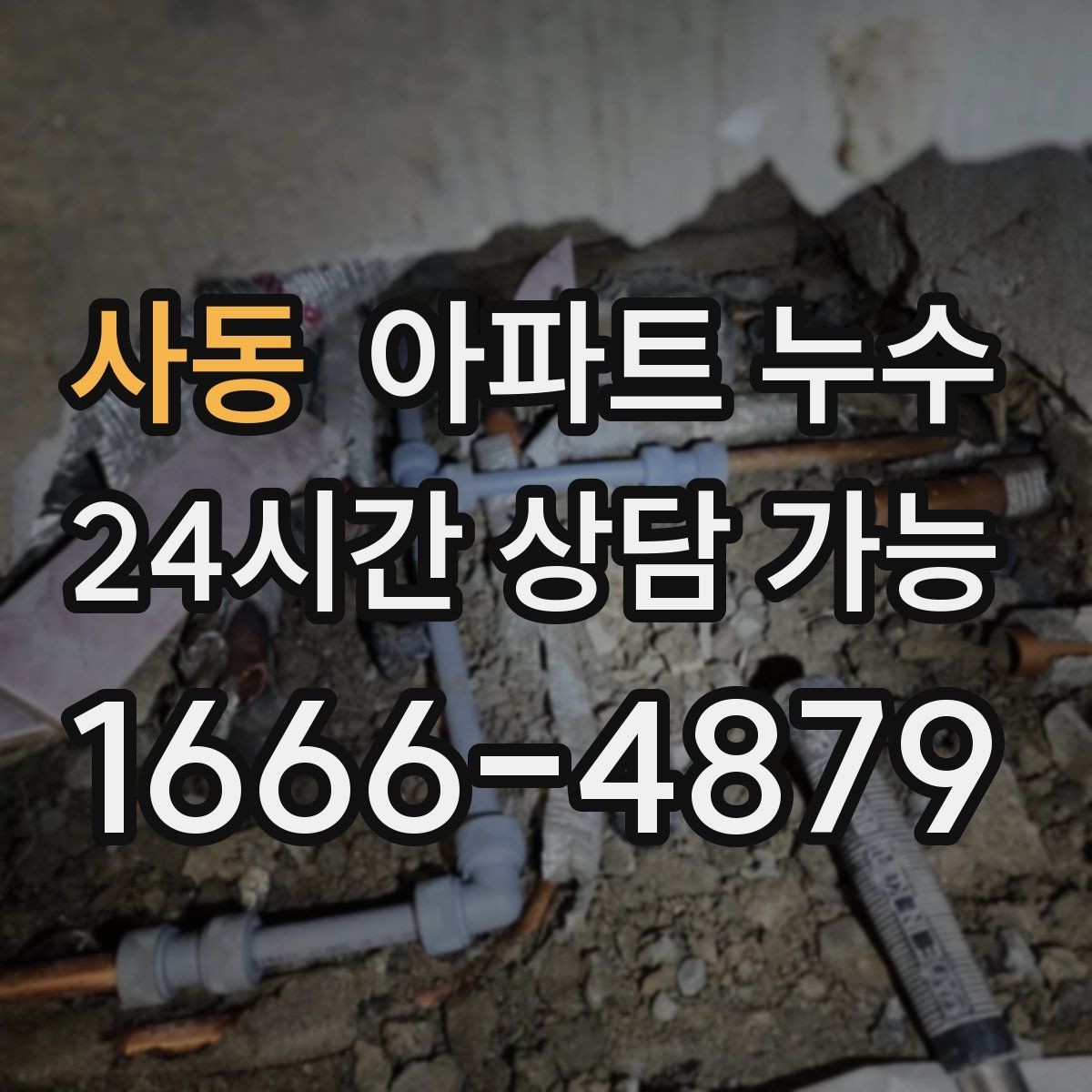 사동 아파트 누수 상황별로 달라지는 해결 순서 안내