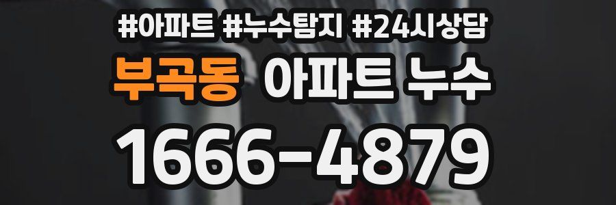 부곡동 누수탐지