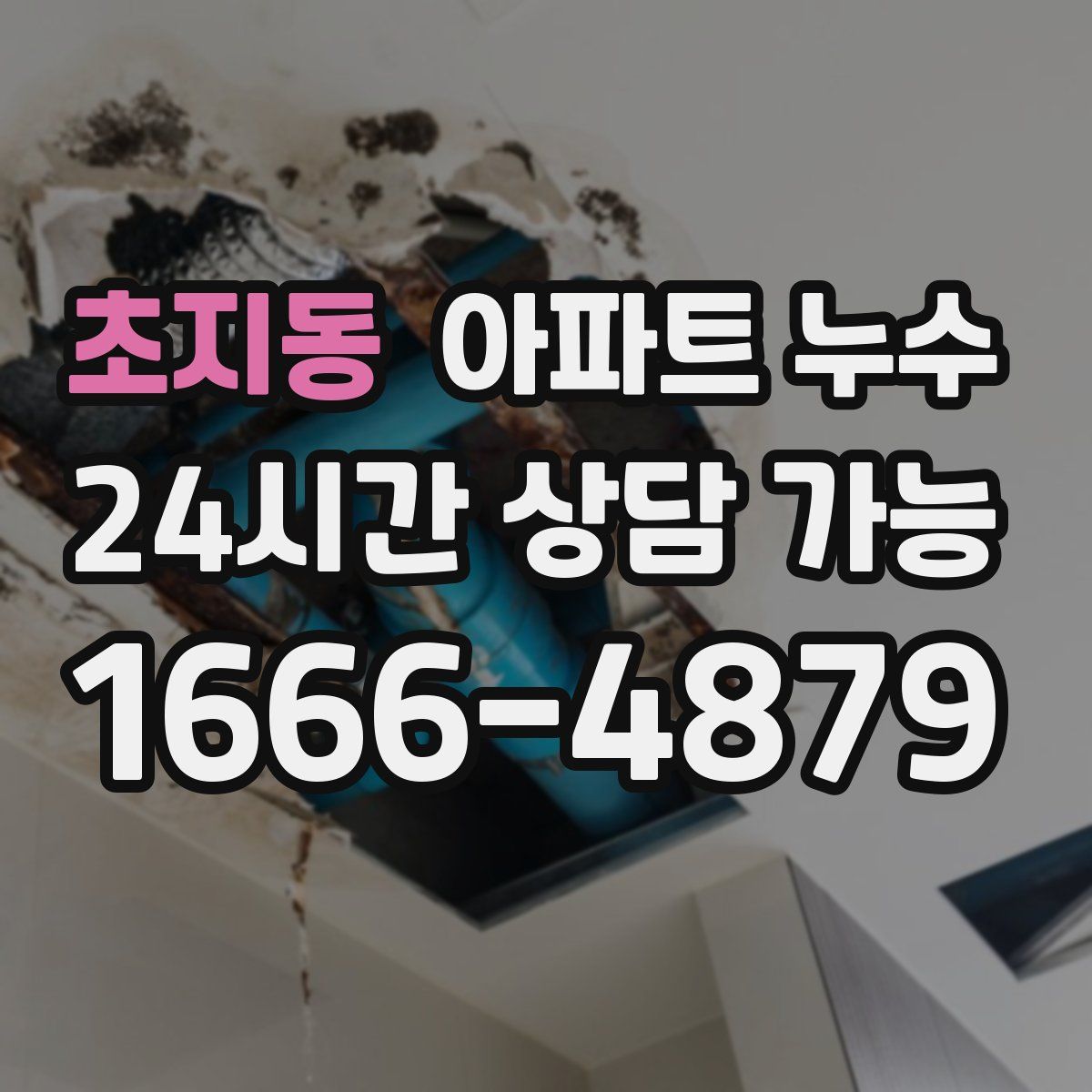 초지동 아파트 누수탐지