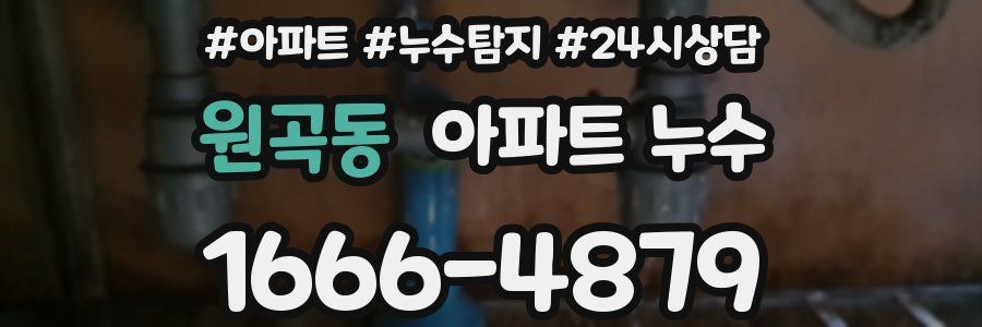 원곡동 누수탐지