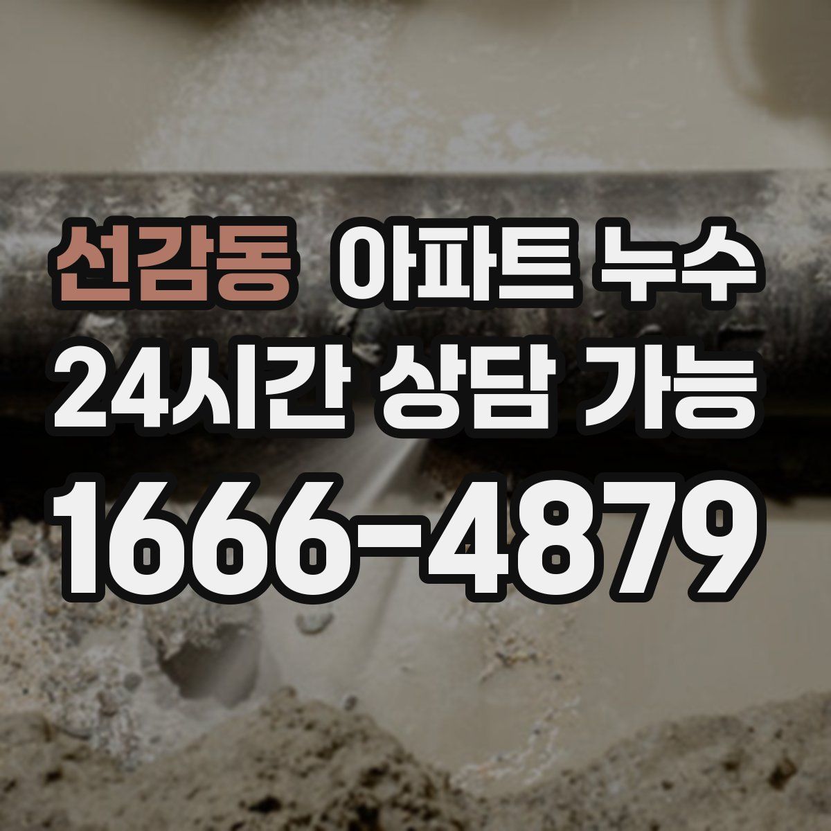 선감동 아파트 누수탐지