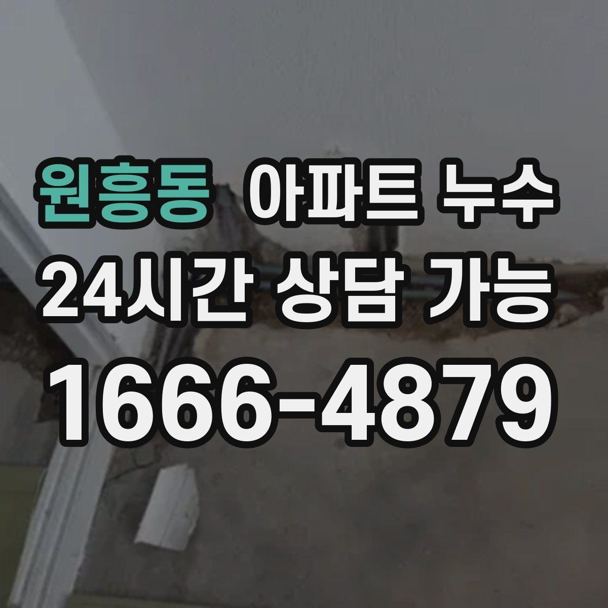 원흥동 아파트 누수 공용부로 의심될 때 소통 방법