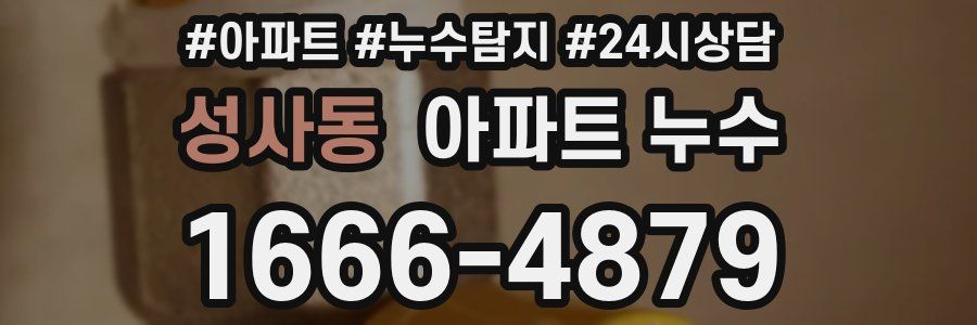 성사동 누수탐지