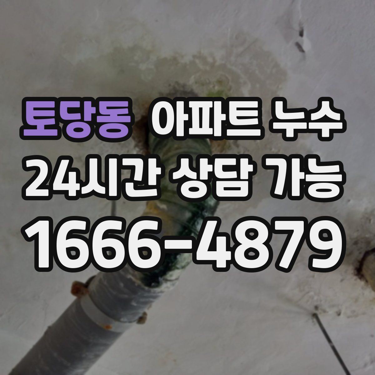 토당동 아파트 누수 다용도실 벽 변색 커지기 전 점검 순서 체크