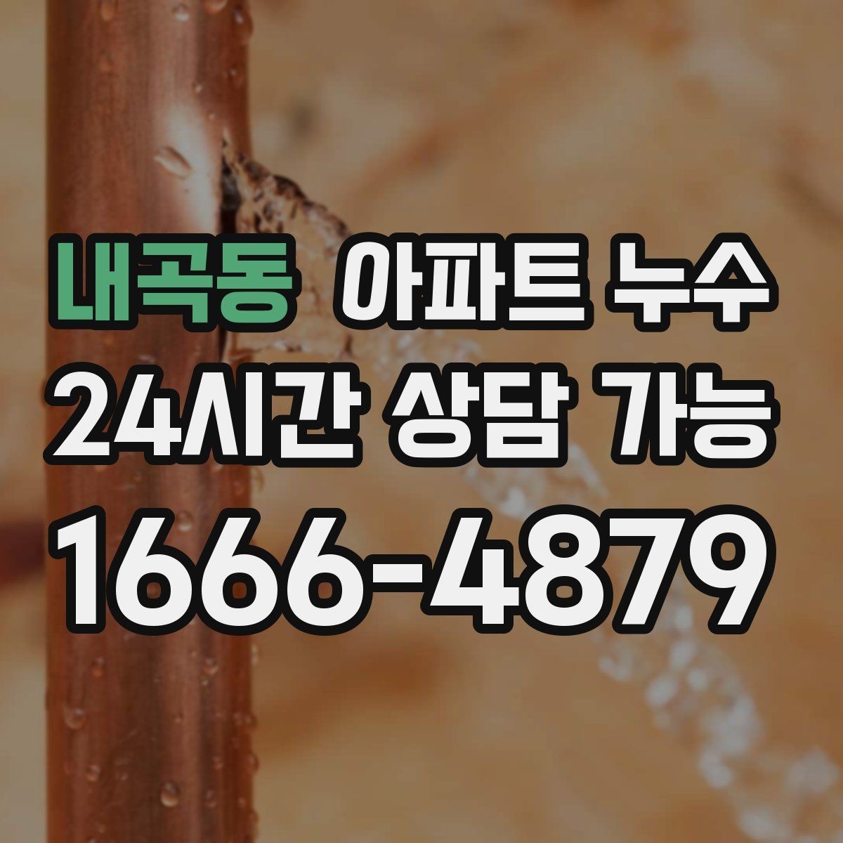 내곡동 아파트 누수 재발 방지까지 이어지는 점검 흐름