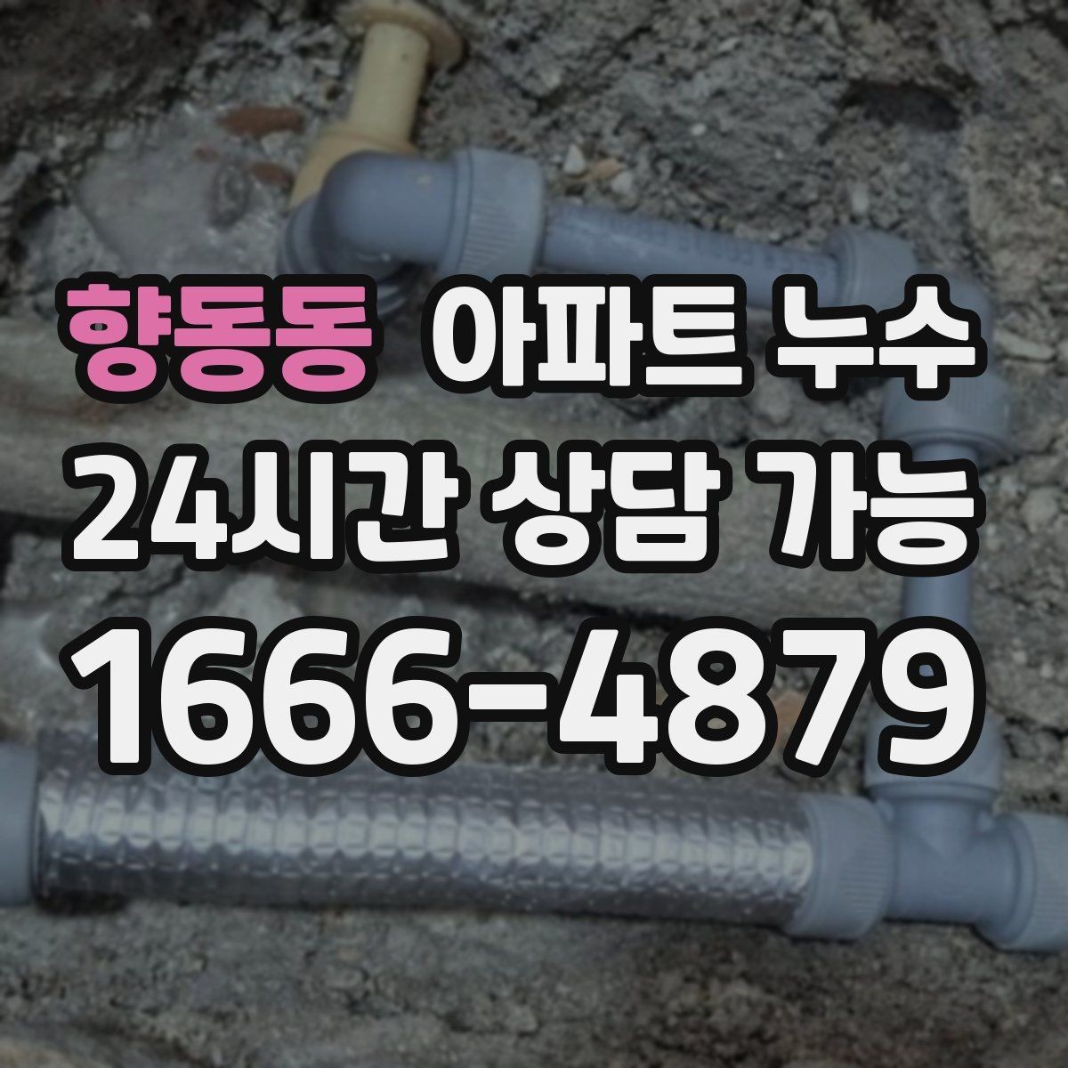 향동동 아파트 누수 다용도실 냄새 커지기 전 현장 체크