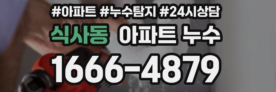 식사동 누수탐지