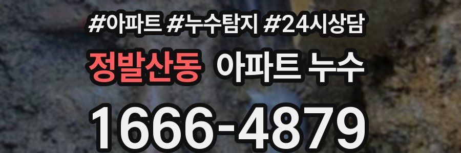 정발산동 누수탐지