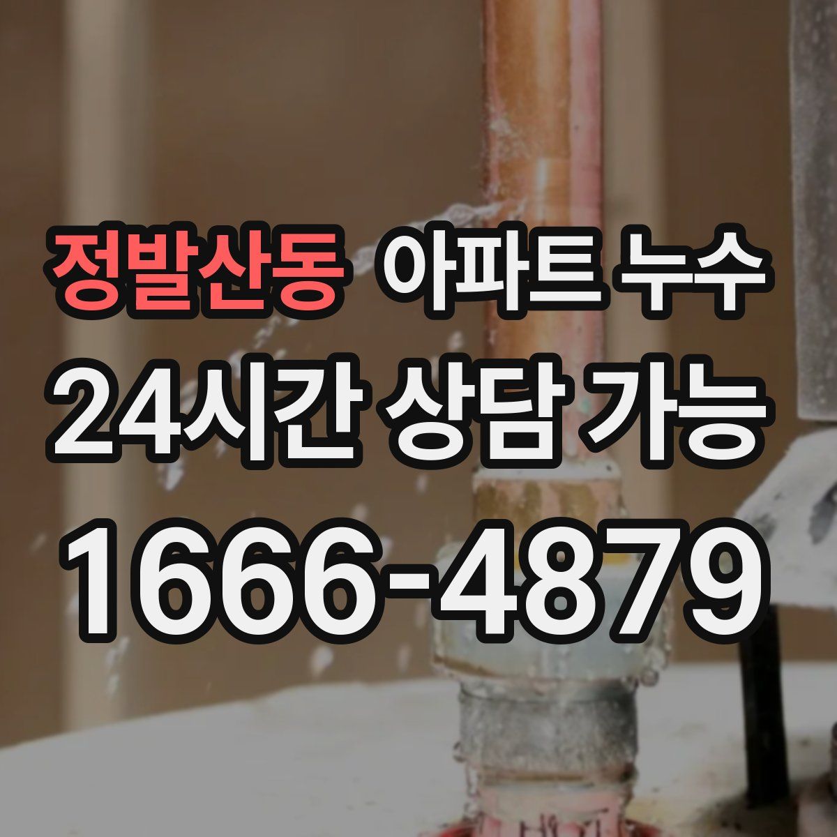 정발산동 아파트 누수탐지