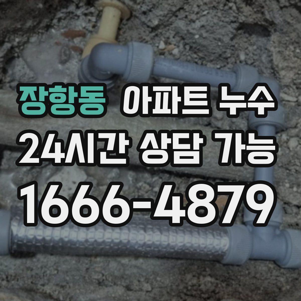 장항동 아파트 누수탐지