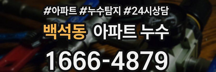 백석동 누수탐지