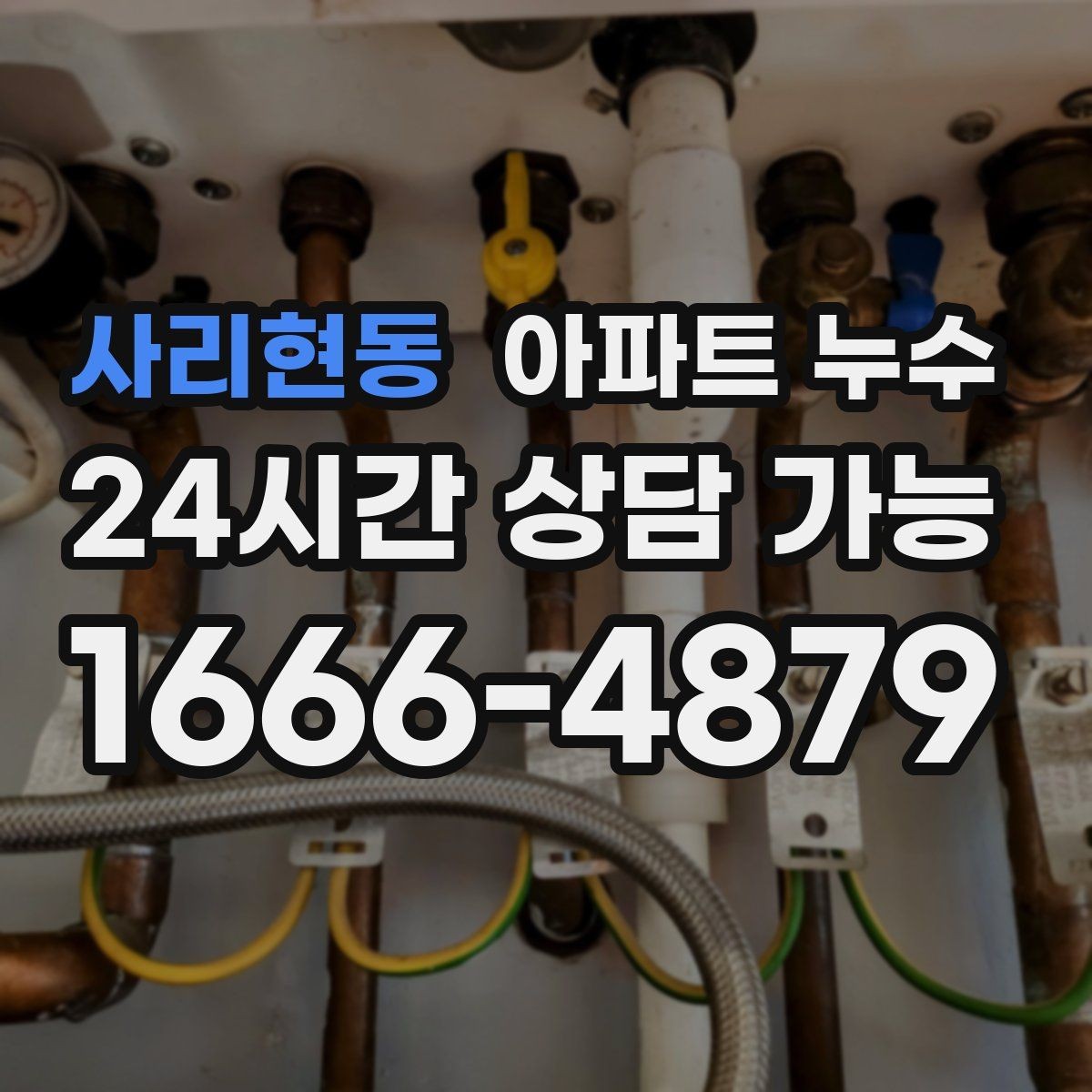 사리현동 아파트 누수 곰팡이가 늘어날 때 먼저 해야 할 관리사무소 대응