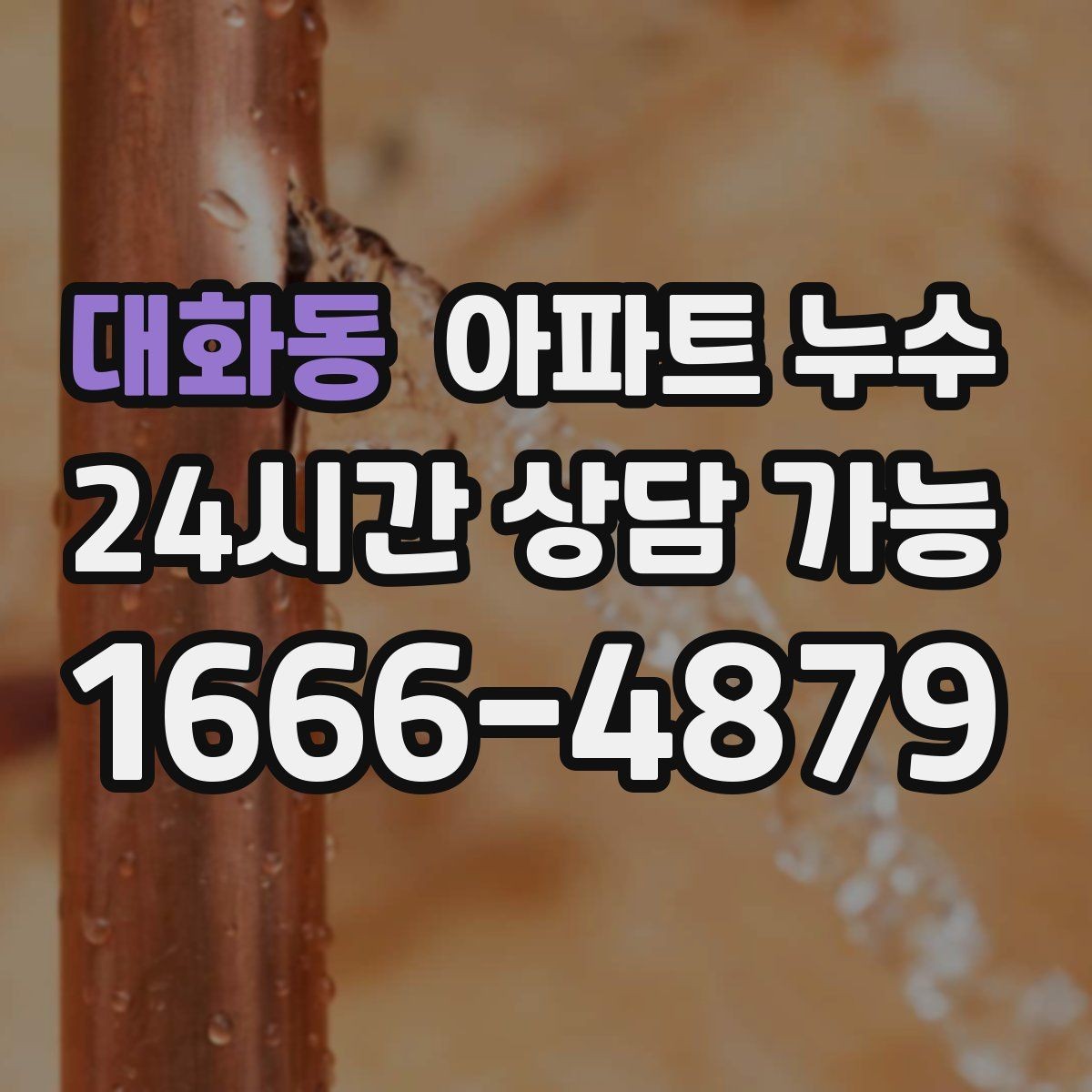 대화동 아파트 누수 천장 벽지 바닥 증상별 점검 정리