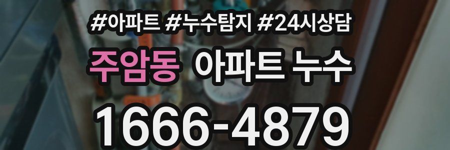 주암동 누수탐지