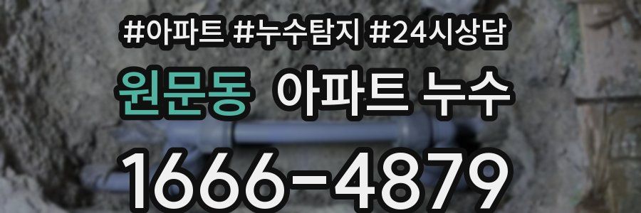 원문동 누수탐지