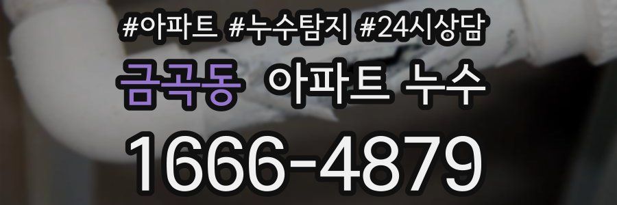 금곡동 누수탐지