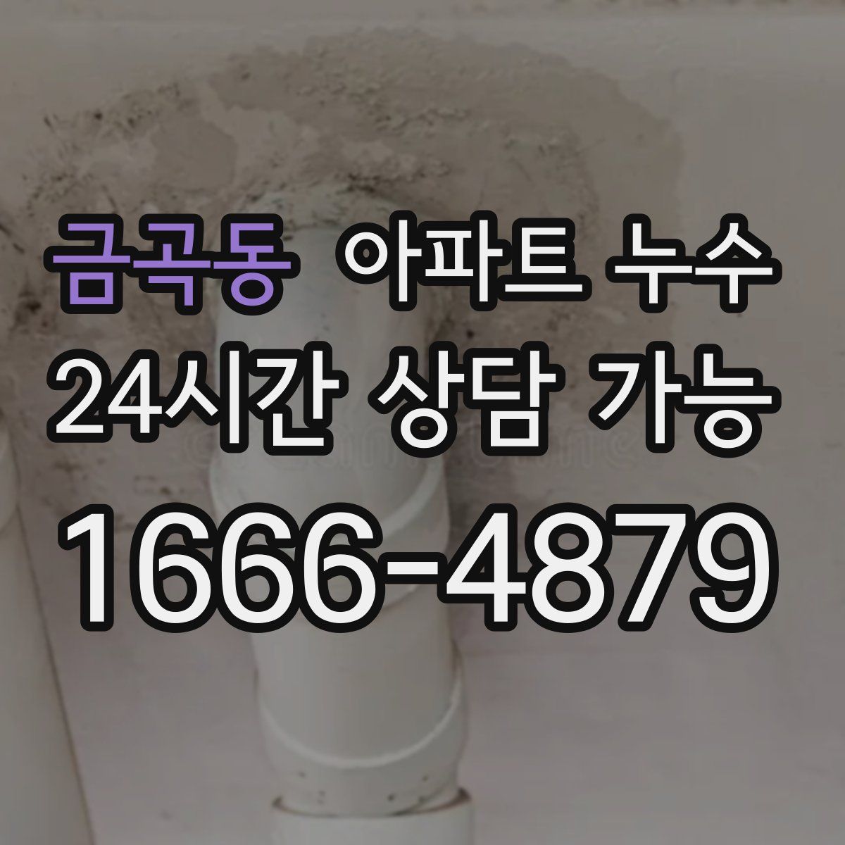 금곡동 아파트 누수탐지