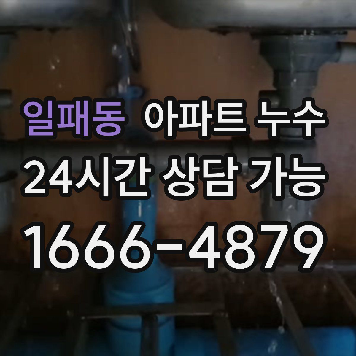 일패동 아파트 누수탐지