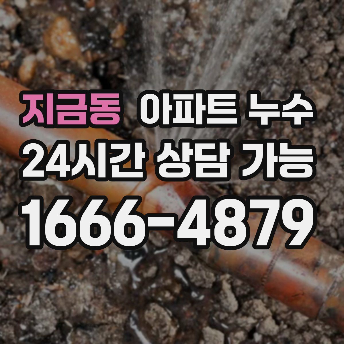 지금동 아파트 누수 욕실 줄눈 젖음 방치하면 커지는 이유와 원인 확인