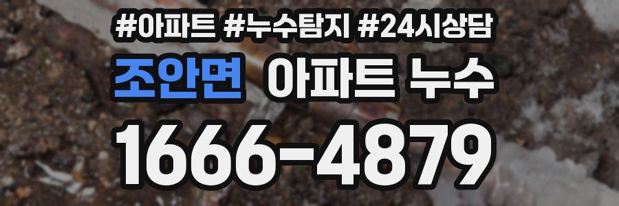 조안면 누수탐지