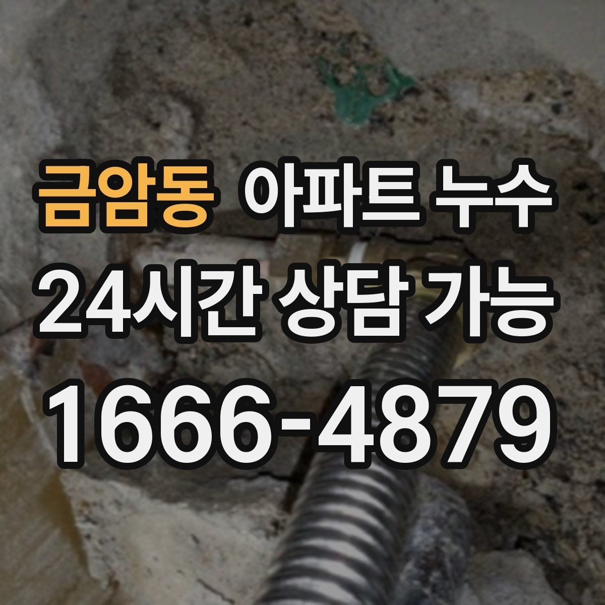 금암동 아파트 누수 현관 쪽까지 습기가 번질 때