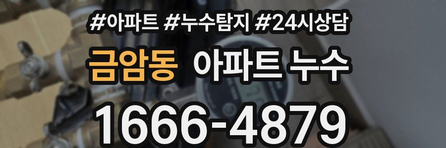금암동 누수탐지
