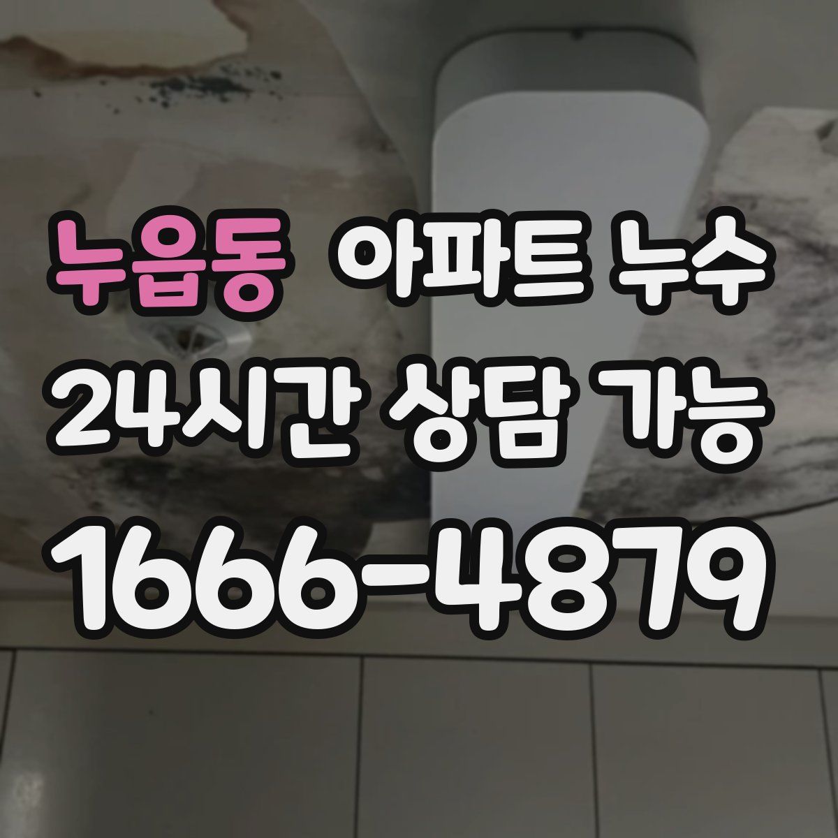 누읍동 아파트 누수탐지