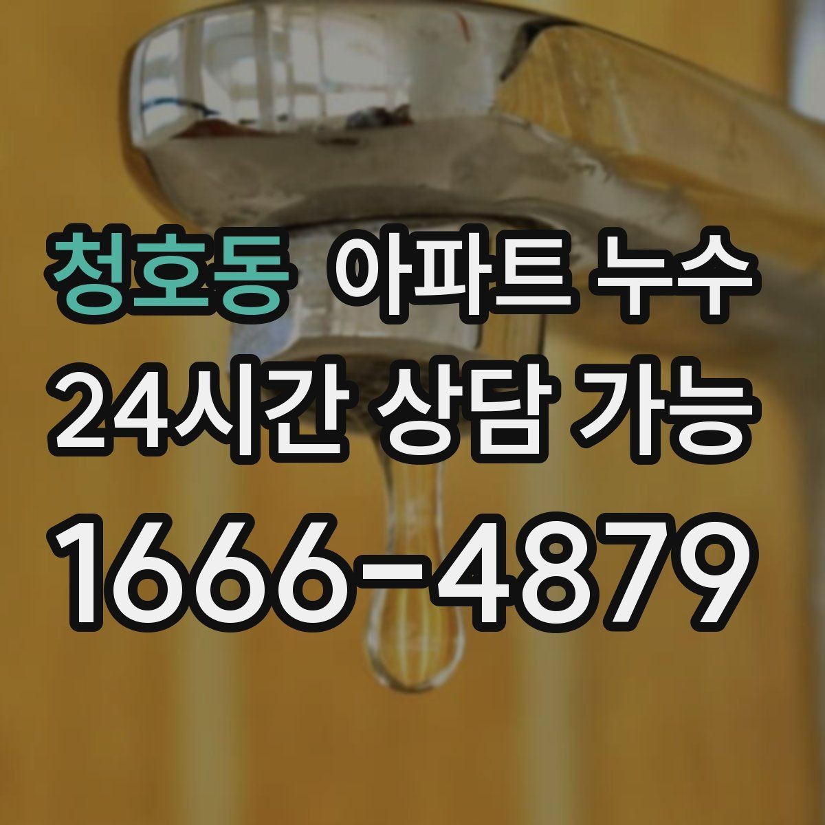 청호동 아파트 누수 욕실 밖 물기 보이면 대응 요령부터 정리