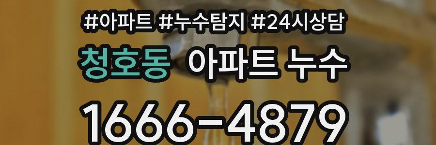 청호동 누수탐지