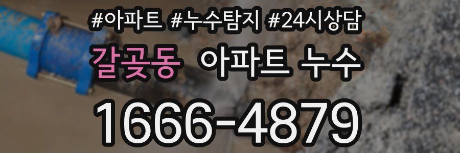 갈곶동 누수탐지