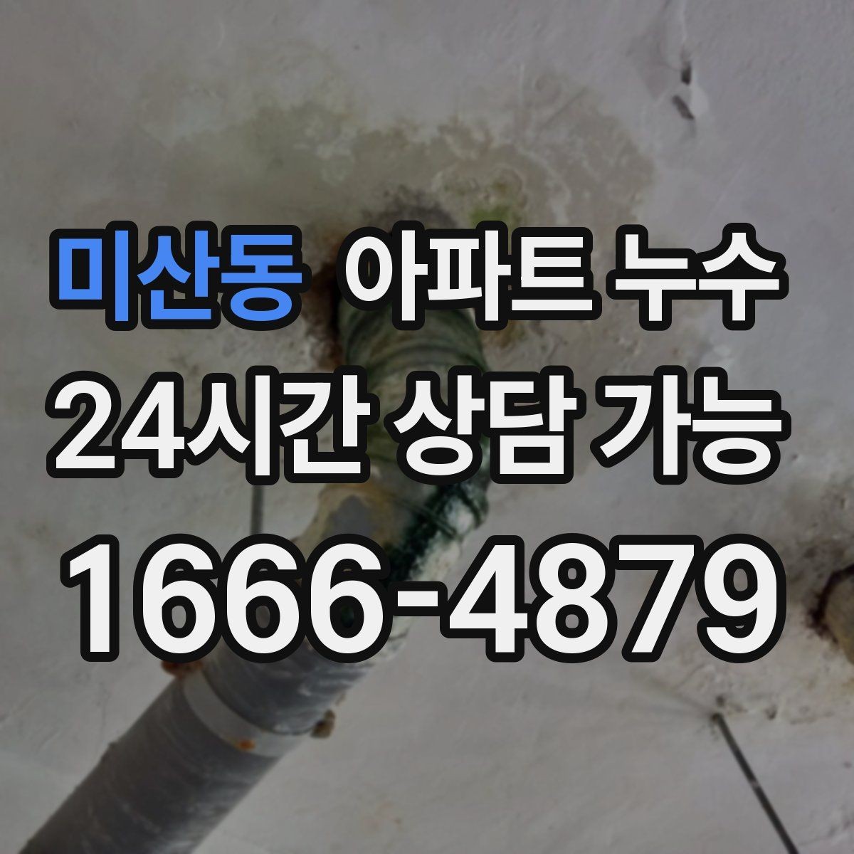 미산동 아파트 누수 냄새가 먼저 나는 경우의 특징