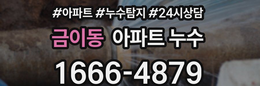 금이동 누수탐지