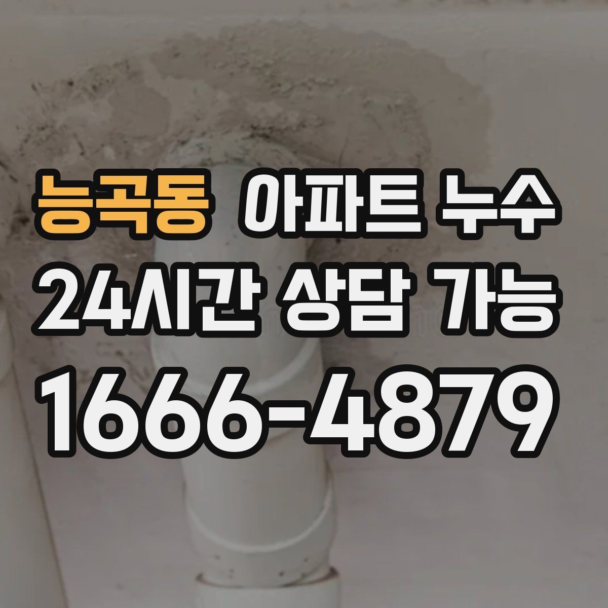 능곡동 아파트 누수 세탁실 배수 주변 냄새가 올라올 때
