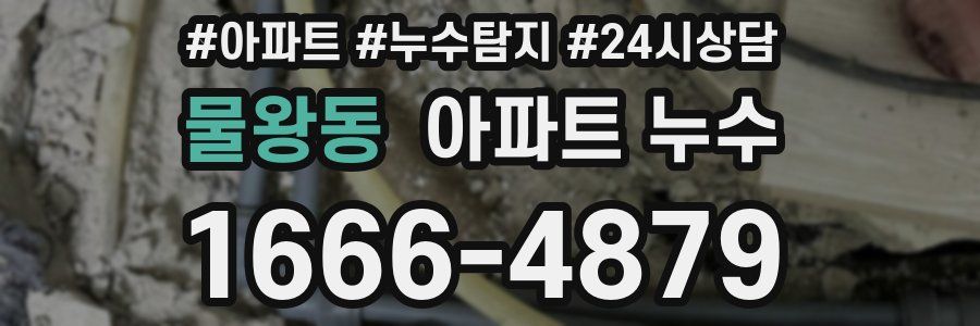 물왕동 누수탐지