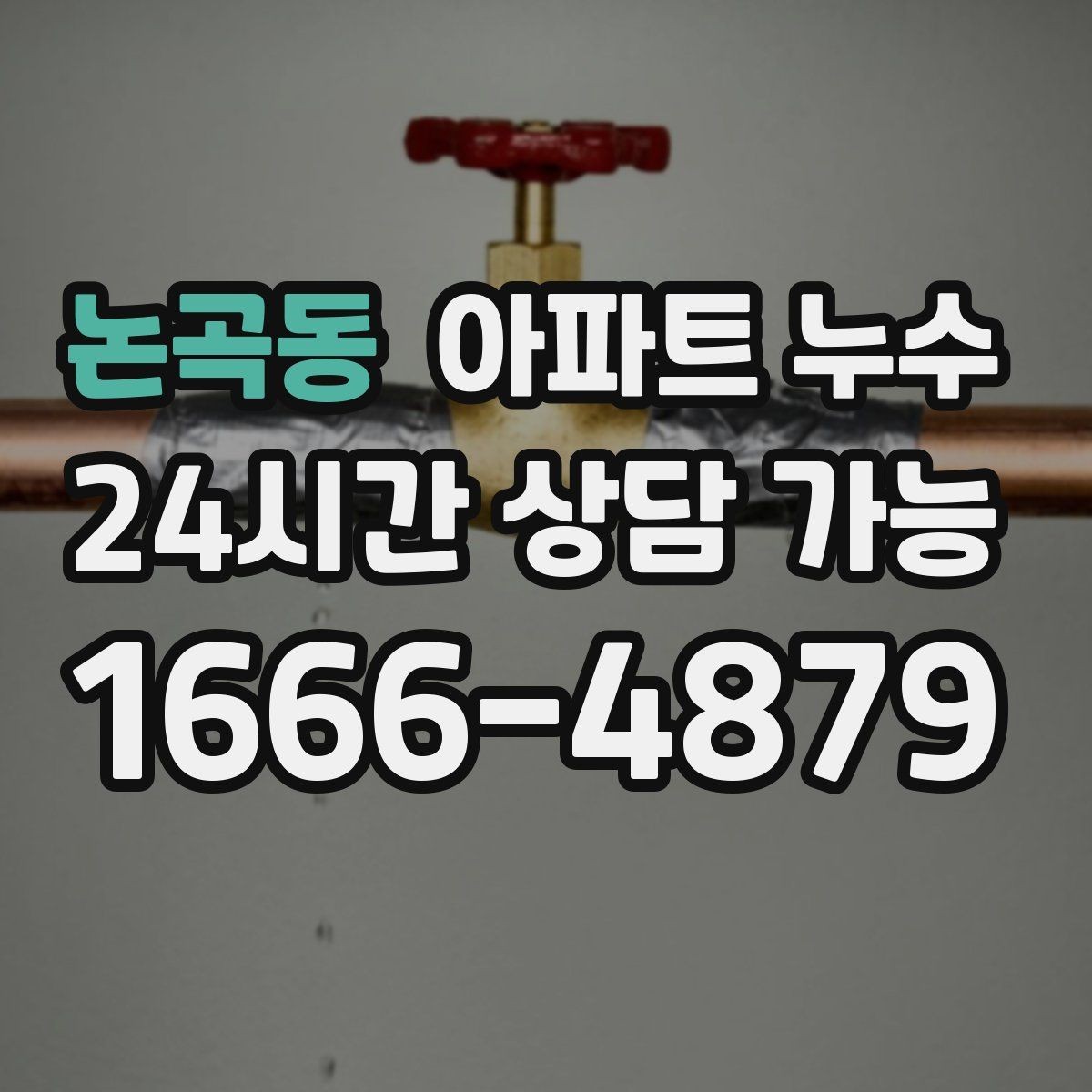논곡동 아파트 누수 물자국만 가리기 전에 꼭 확인하세요