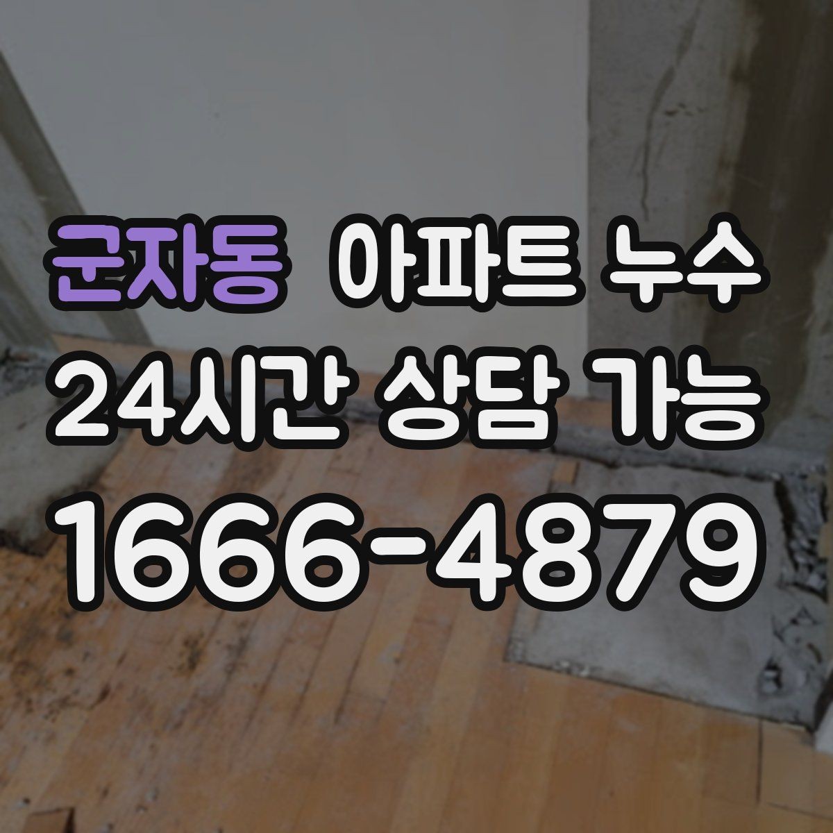 군자동 아파트 누수 벽지 끝선이 검게 변할 때