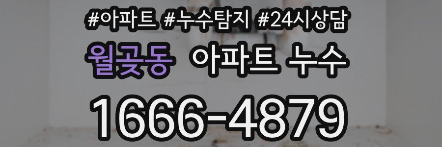 월곶동 누수탐지