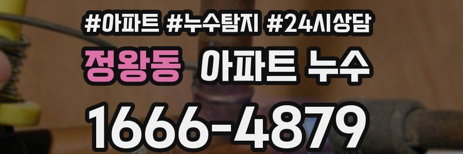 정왕동 누수탐지