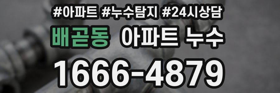 배곧동 누수탐지