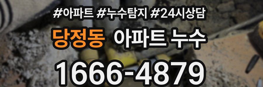 당정동 누수탐지