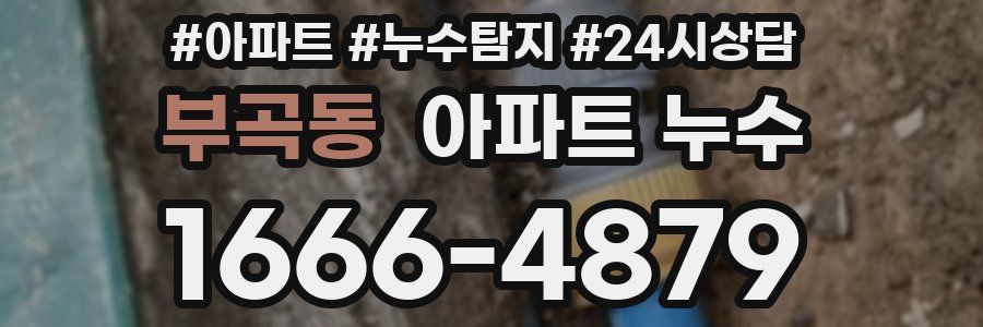 부곡동 누수탐지